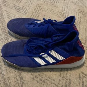 Adidas 10.5 Predator indoor soccer shoes